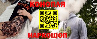 прущие грибы Гусиноозёрск