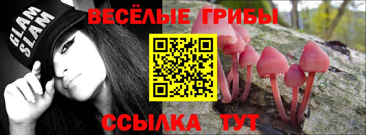 Медногорск  Галлюциногенные грибы мицелий  Псилоцибиновые грибы мицелий  Вход с VPN 