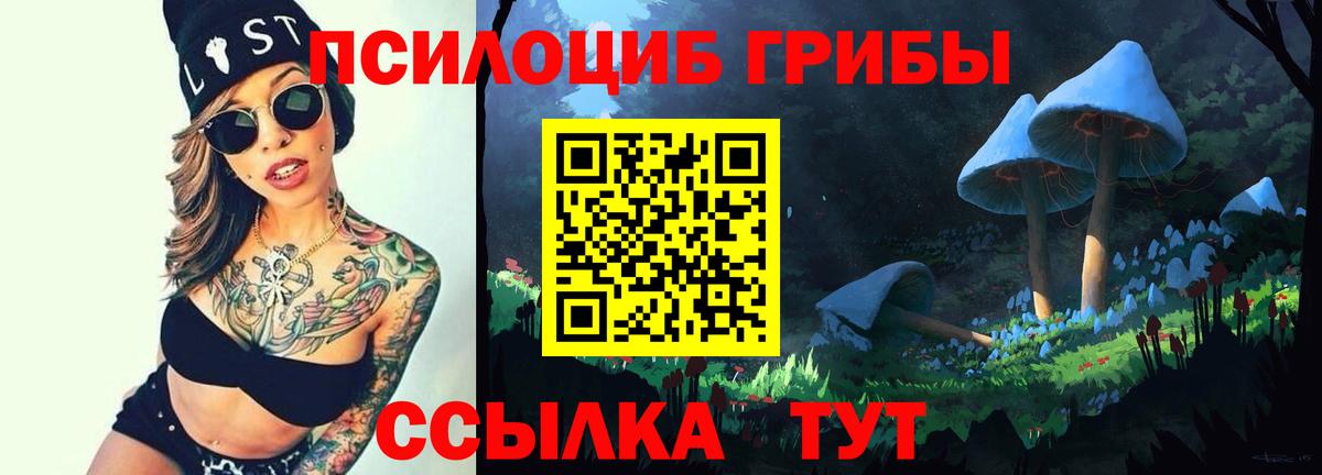 Псилоцибиновые грибы GOLDEN TEACHER Медногорск